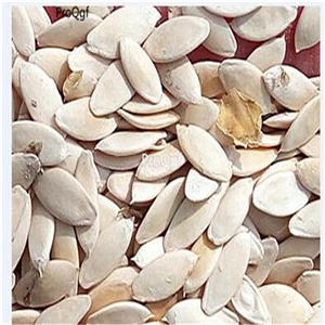 19usd Ngryise 300Pcs A Set Cucumis metuliferus seed