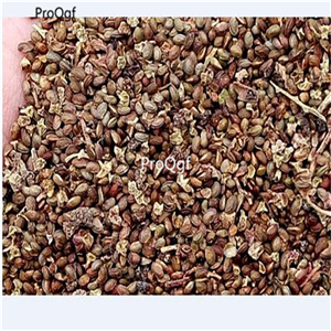 19usd Ngryise 3000Pcs A Set Rubus corchorifolius  raspberry seed