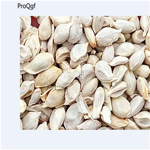 19usd Ngryise 1000Pcs A Set Citrus limon green lemon seed