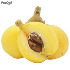 20usd ngryise 200pcs Eriobotrya japonica seed