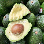 19usd Ngryise 5Pcs A Set Persea americana  seed