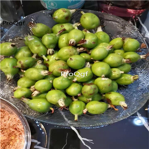 29usd Ngryise 50Pcs A Set  Docynia delavayi fruit seed
