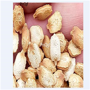 19usd Ngryise 300Pcs A Set small yunnan bitter melon seed
