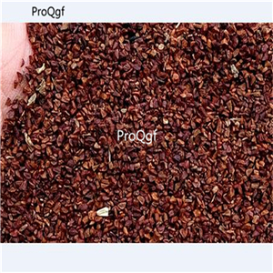19usd Ngryise 300Pcs A Set Dregea volubilis seed