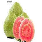 29usd Ngryise 100pcs a set Psidium guajava guava seed