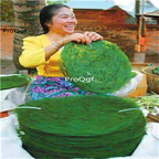 19usd Ngryise 300Pcs A Set green moss zhenzhumei seed
