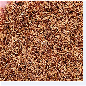 19usd Ngryise 300Pcs A Set green moss zhenzhumei seed