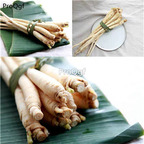 19usd Ngryise 3000Pcs A Set yunnan   Anethum graveolens  seed