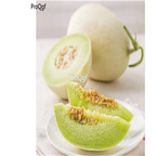 19usd Ngryise 3000Pcs A Set yugu sweet melon seed