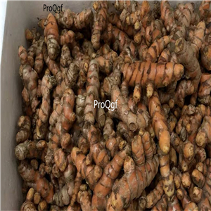 19usd Ngryise 5Pcs A Set yellow ginger root