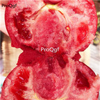 19usd Ngryise 6000Pcs A Set Provence tomato seed