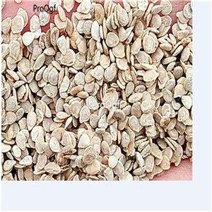 19usd Ngryise 6000Pcs A Set Provence tomato seed