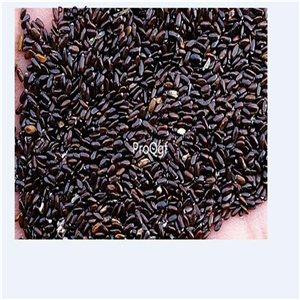 19usd Ngryise 6000Pcs A Set Lavandula angustifolia seed