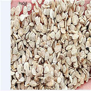 19usd ngryise 6000pcs a set peanut shape tomato seed