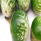 19usd ngryise 6000pcs a set cherry shape green eggplant seed