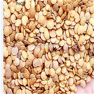 19usd ngryise 6000pcs a set cherry shape green eggplant seed