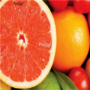 19usd Ngryise 50pcs a set Citrus paradisi seed