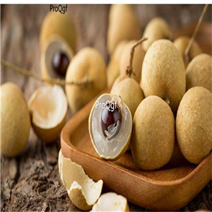 19usd ngryise 50pcs Dimocarpus longan seed