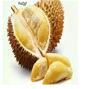 29usd Ngryise 5Pcs A Set  Durio zibethinus  seed