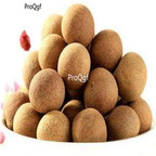 19usd ngryise 10pcs Dimocarpus confinis seed