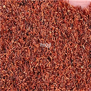 19usd ngryise 500pcs White Plant Faux Foliage seed