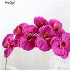19usd Ngryise 2Pcs A Set Phalaenopsis aphrodite  plant