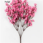 19usd Ngryise 5000Pcs A Set Baby's Breath Gypsophila  seed