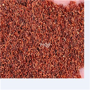 19usd Ngryise 3000Pcs A Set rare Eucalyptus seed