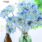 19usd ngryise 3000pcs Dragon Claw Crab Chrysanthemum seed
