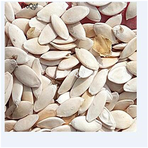 19usd ngryise 2000pcs High-yielding autumn Fruit cucumber seed