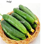 19usd Ngryise 2000Pcs A Set  fruit cucumber seed