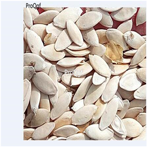 19usd Ngryise 2000Pcs A Set  fruit cucumber seed