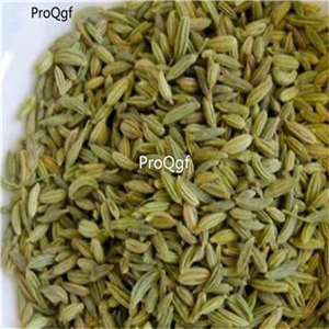 19usd Ngryise 6000Pcs A Set  Foeniculum vulgare  seed