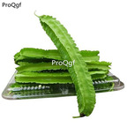 19usd ngryise 100pcs Psophocarpus tetragonolobus seed