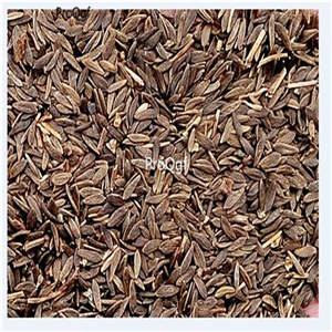 19usd Ngryise 5000Pcs A Set red lettuce seed