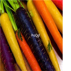 19usd Ngryise 5000Pcs A Set mini colorful carrot seed