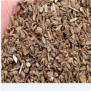 19usd Ngryise 5000Pcs A Set mini colorful carrot seed