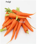 19usd Ngryise 5000Pcs A Set mini finger shape carrot seed