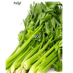 19usd Ngryise 9000Pcs A Set Petroselinum crispum  seed