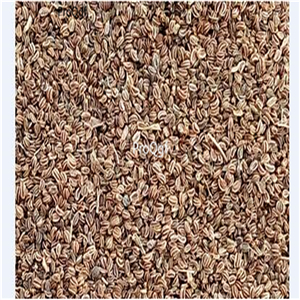 19usd Ngryise 9000Pcs A Set Petroselinum crispum  seed