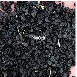 19usd Ngryise 6000Pcs A Set Allium fistulosum  caespitosum Makino  seed