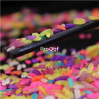 19usd Ngryise 500Pcs A Set colorful rainbow rice seed