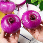 19usd Ngryise 100Pcs A Set purple onion seed