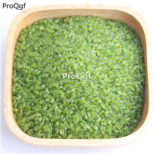 19usd Ngryise 5000Pcs A Set green rice seed