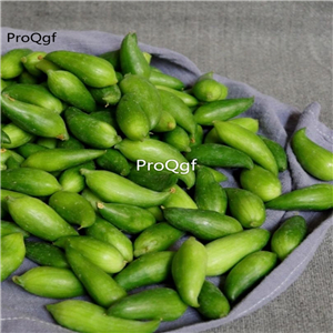 29usd Ngryise 10Pcs A Set Cyclanthera pedata seed