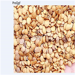 19usd Ngryise 200Pcs A Set Solanum dulcamara seed