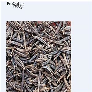 19usd Ngryise 6000Pcs A Set Cosmos bipinnata seed