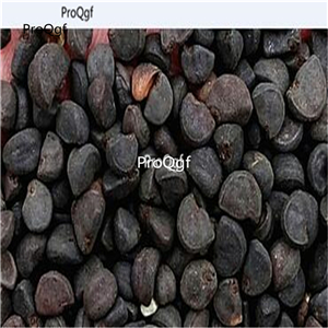 19usd Ngryise 3000Pcs A Set Ipomoea sloteri  seed