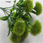 19usd Ngryise 6000Pcs A Set Dandelion seed