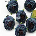 19usd Ngryise 100Pcs A Set Camellia seed